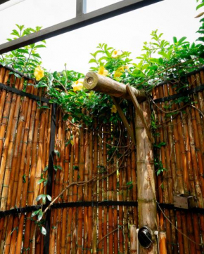 Tabor Botanique